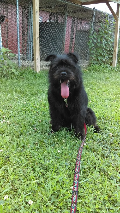 IMAG0591.jpg