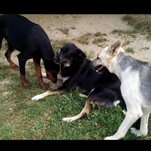 Savannah, Lucy and Penny having girl gossip time