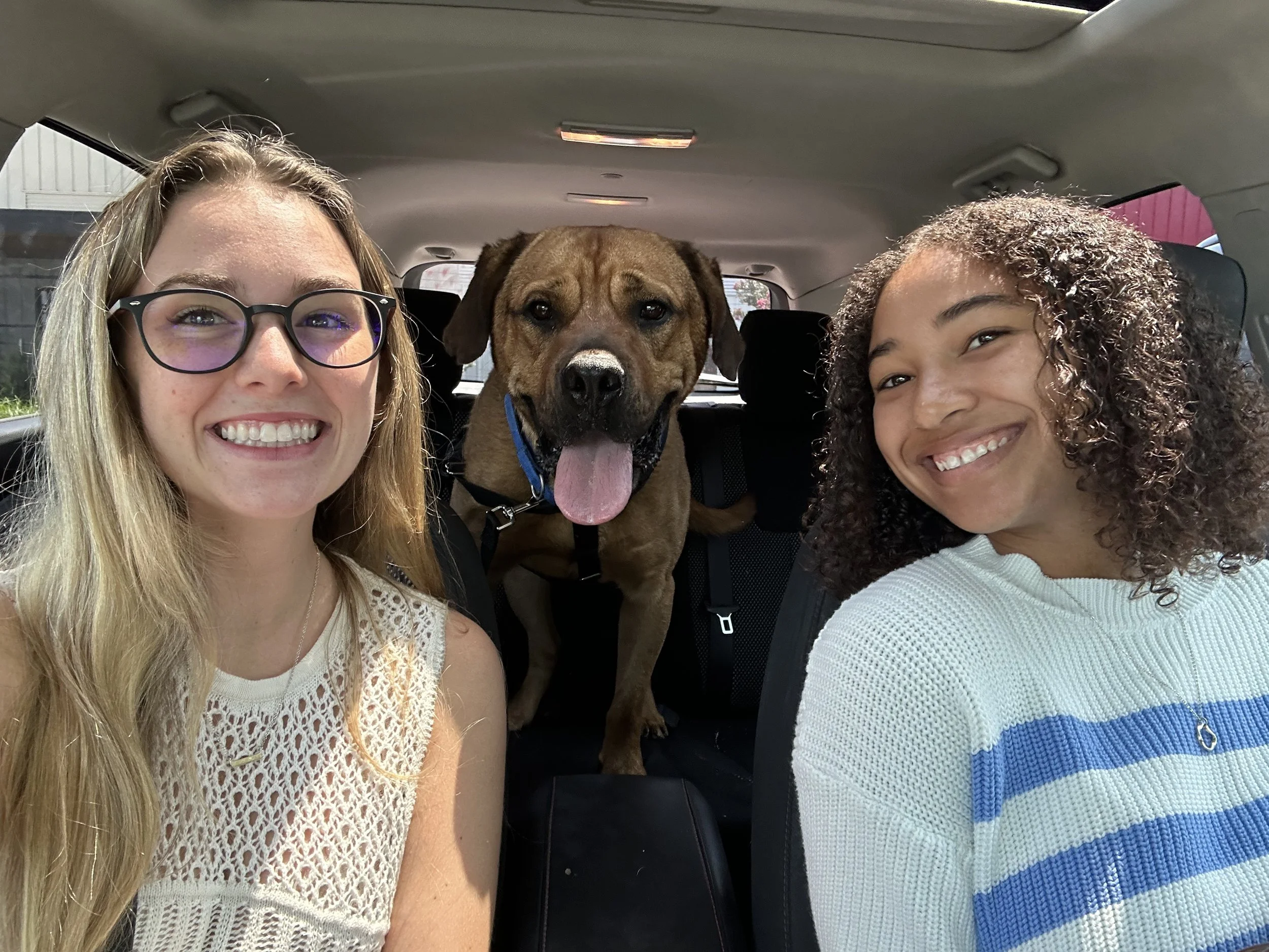 Shelter Skip Day!