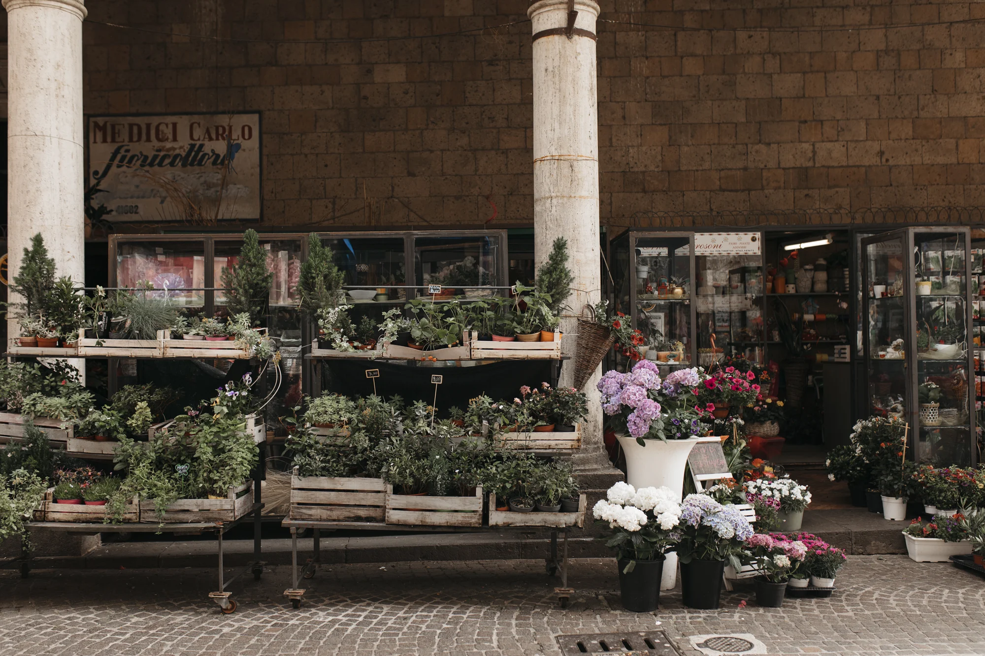 creative lifestyle blogger explores Italy and shares the culture and what it has taught her with us