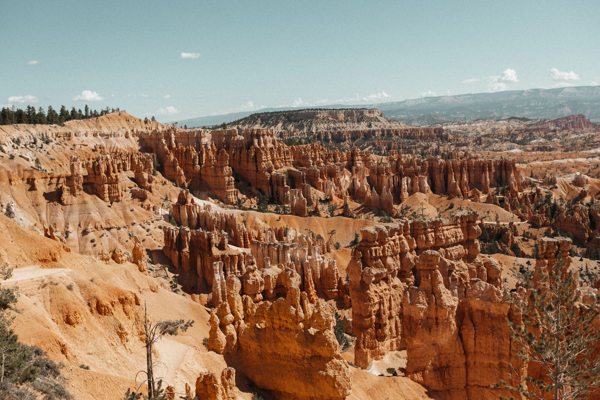 emilyrhess-utah-travel-guide-blog-explore (58).jpg
