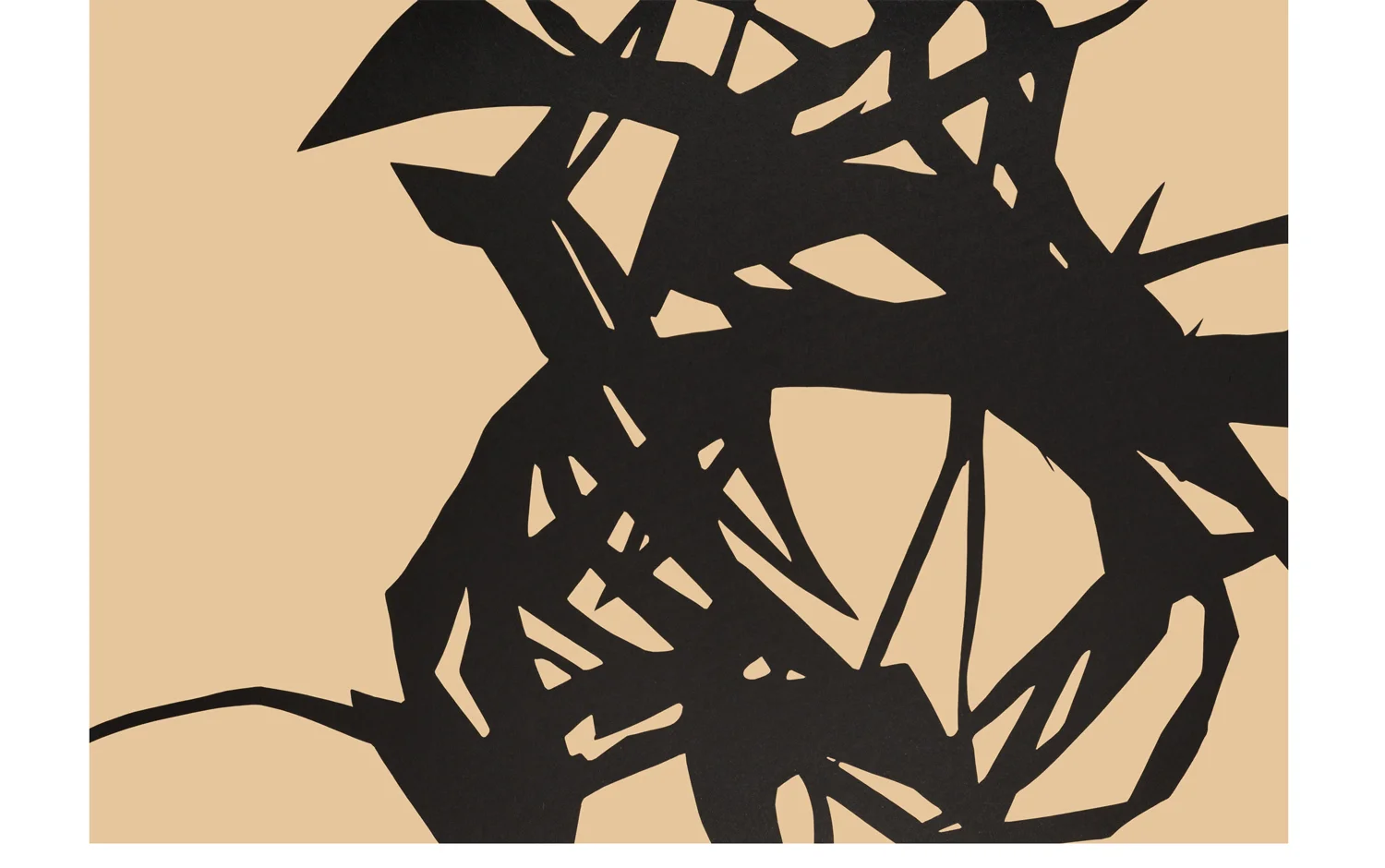 constrict_expand-5b_landscape_w.jpg