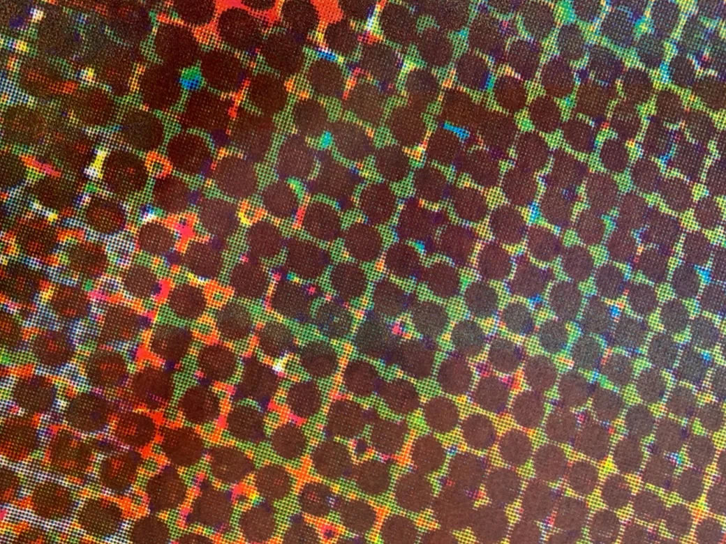close up photo of 221P