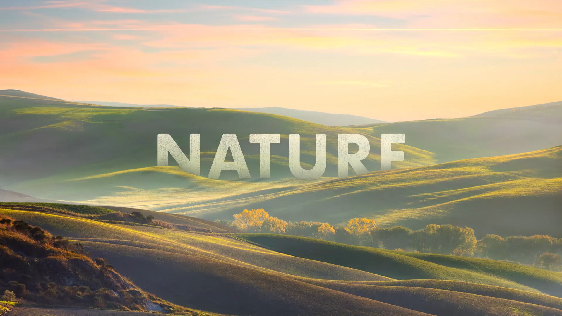 Natures Sweetness (1080p) (00103).jpg