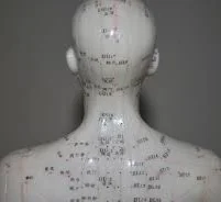 Acupuncture Points 2.jpg