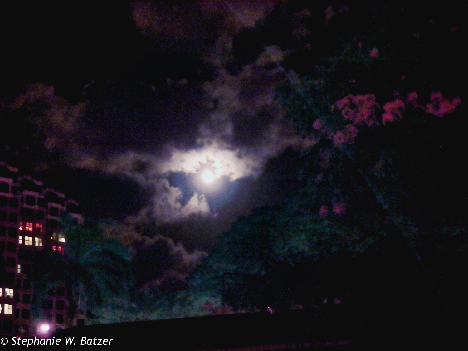 Moon Over Honolulu Art Museum