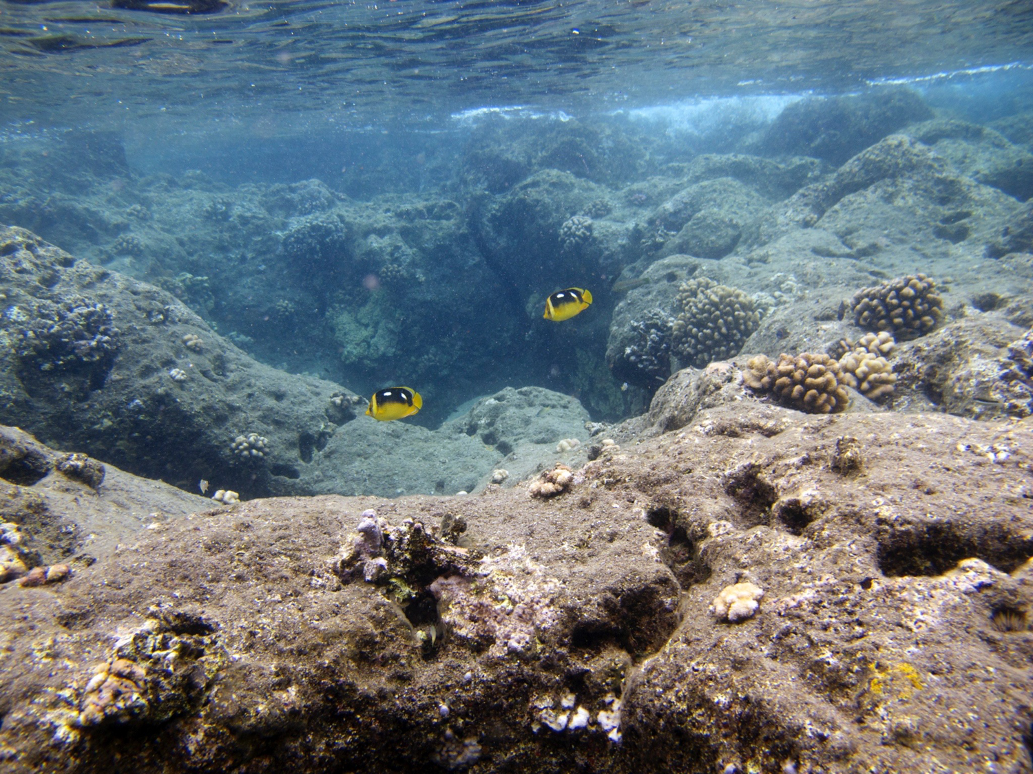 Kalaupapa (38 of 167).jpg