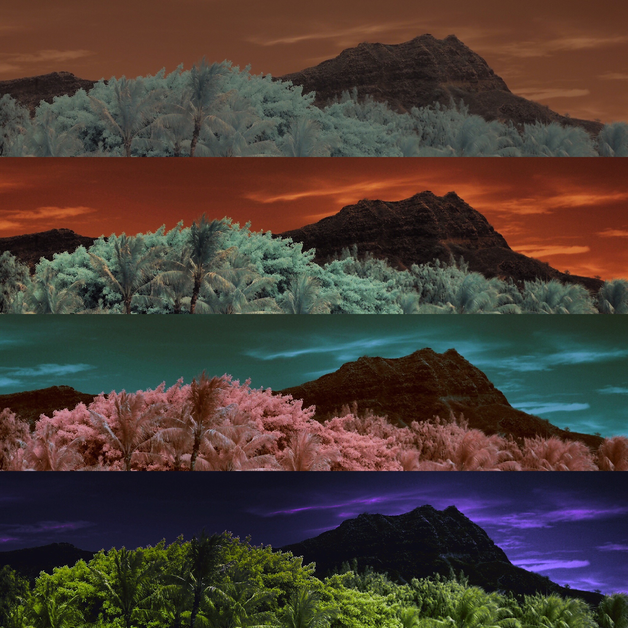 Andy Warhol's Diamond Head