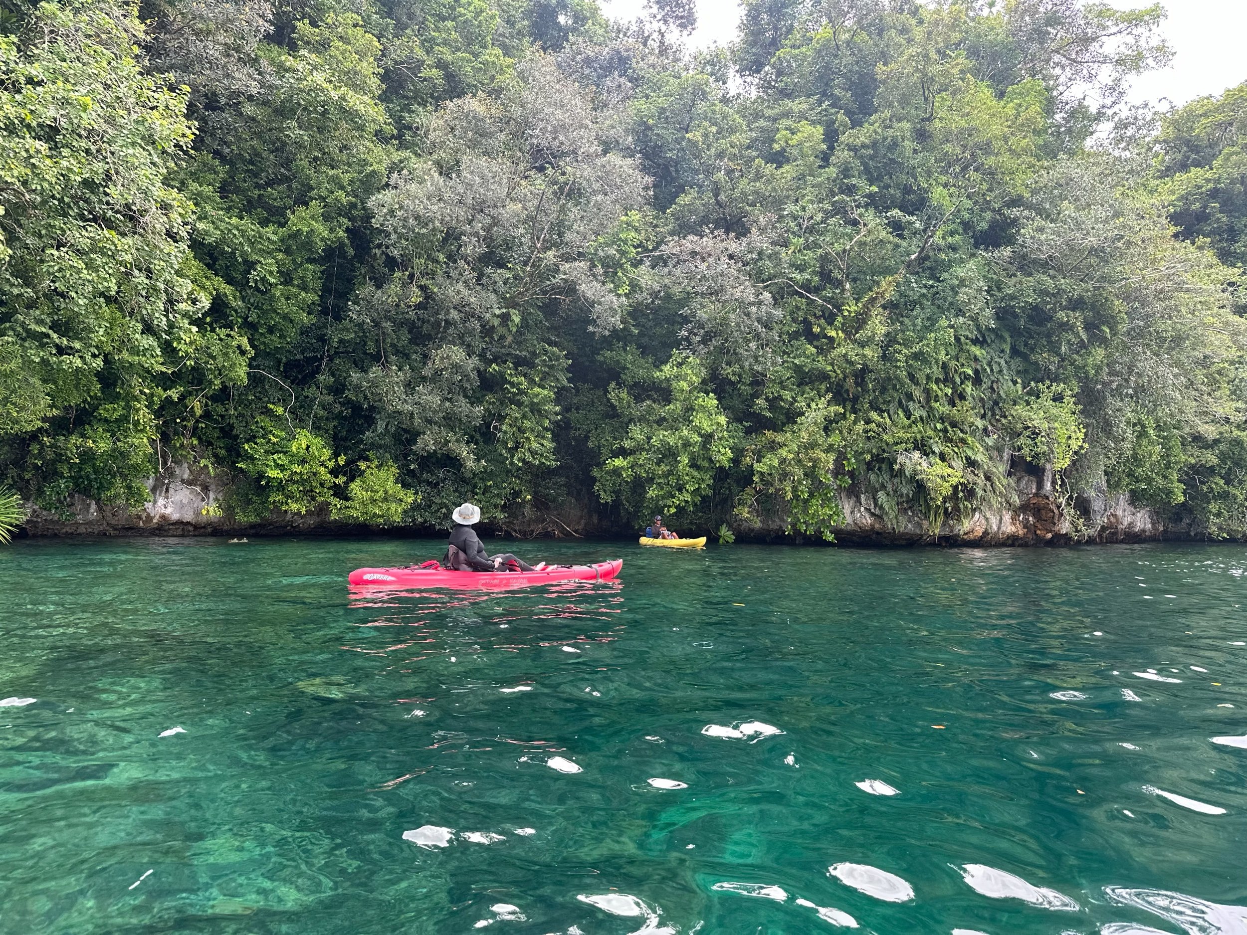 Kayaking Nikko Bay