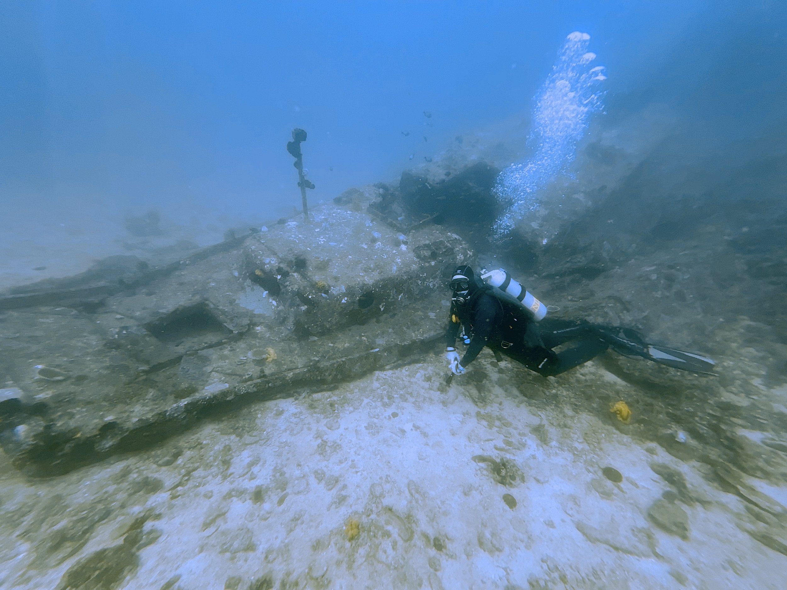 Stephanie at the Balayligue Wreck