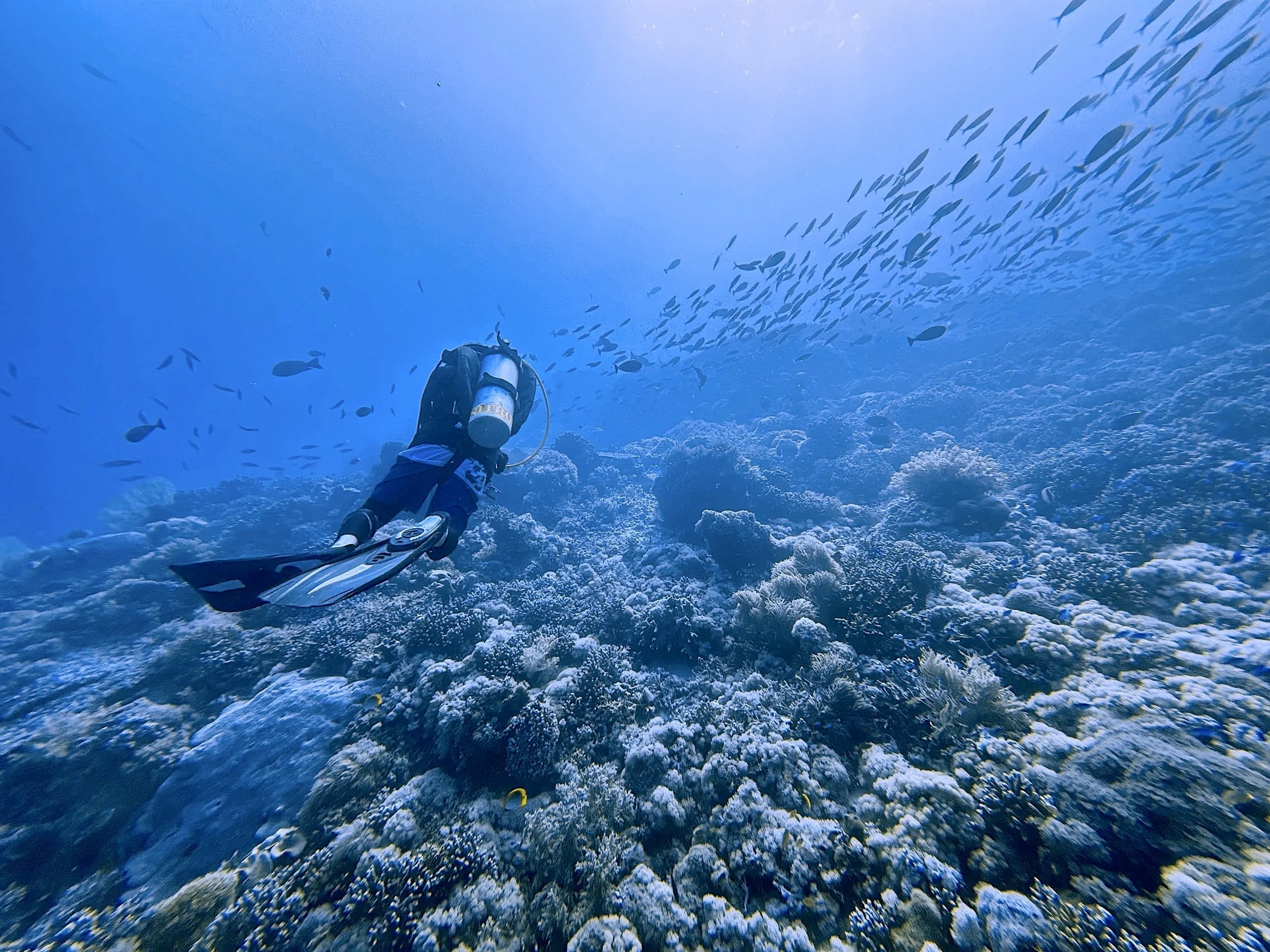 Atlantis Azores Tubbataha April 2024