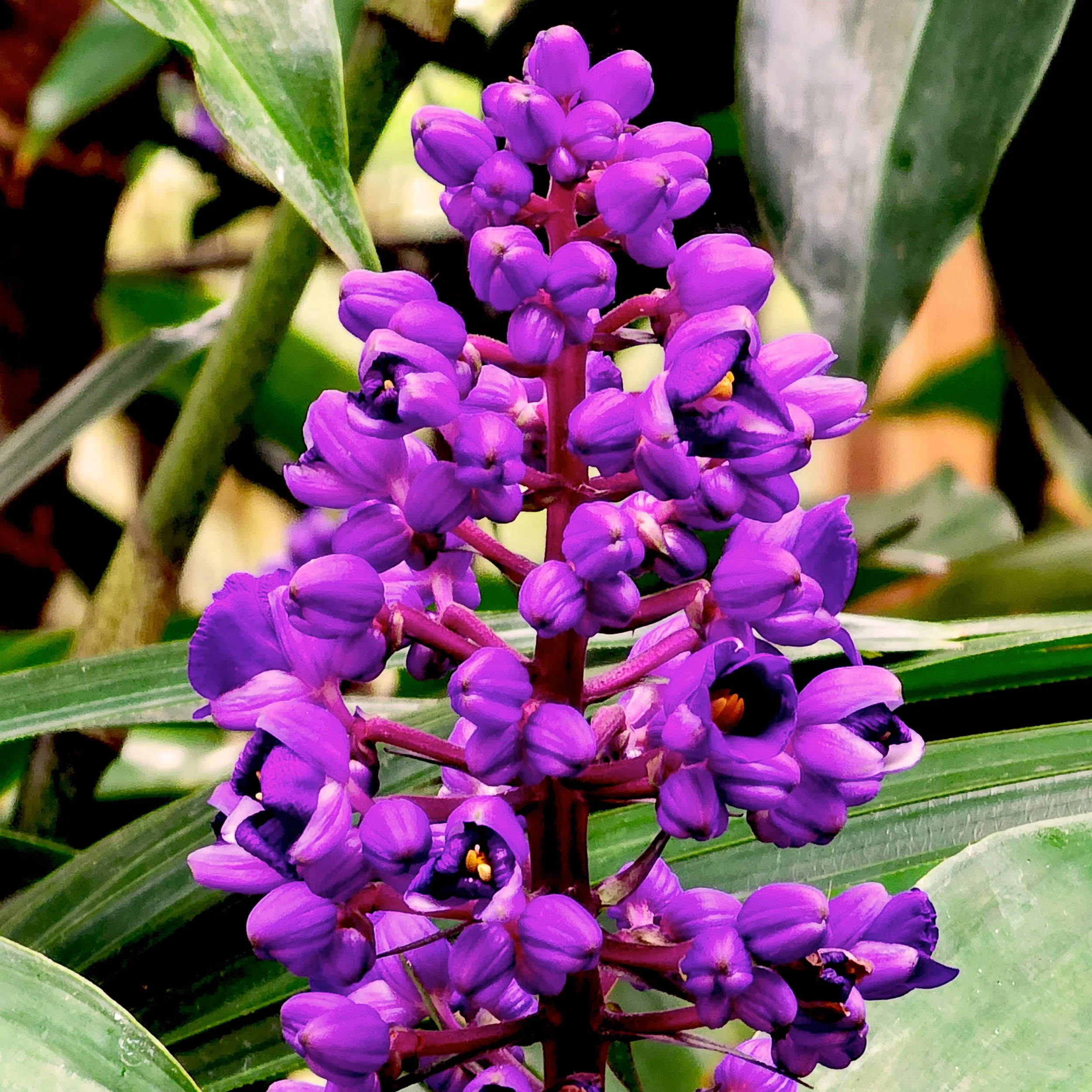 Floral12.jpg