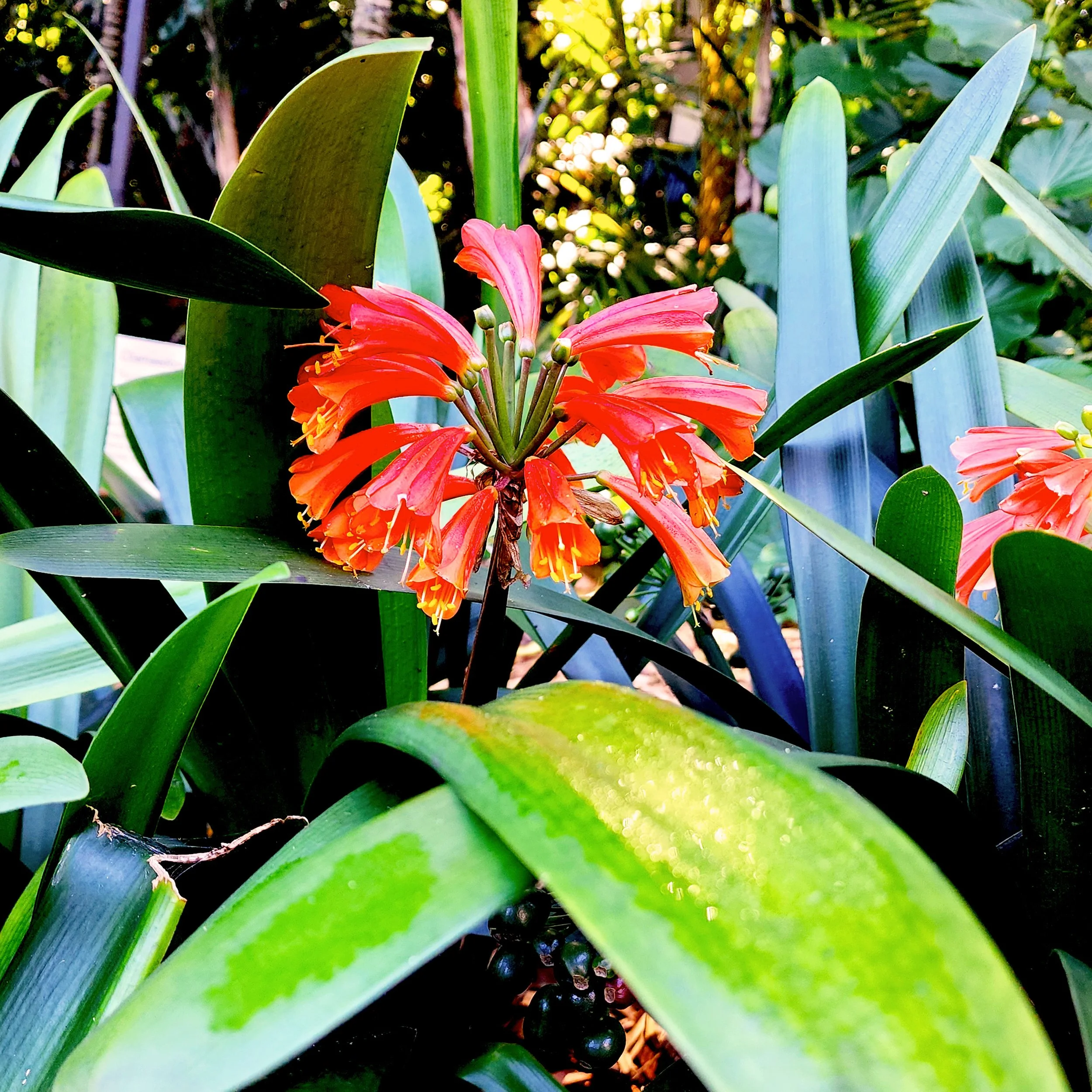Floral14.jpg