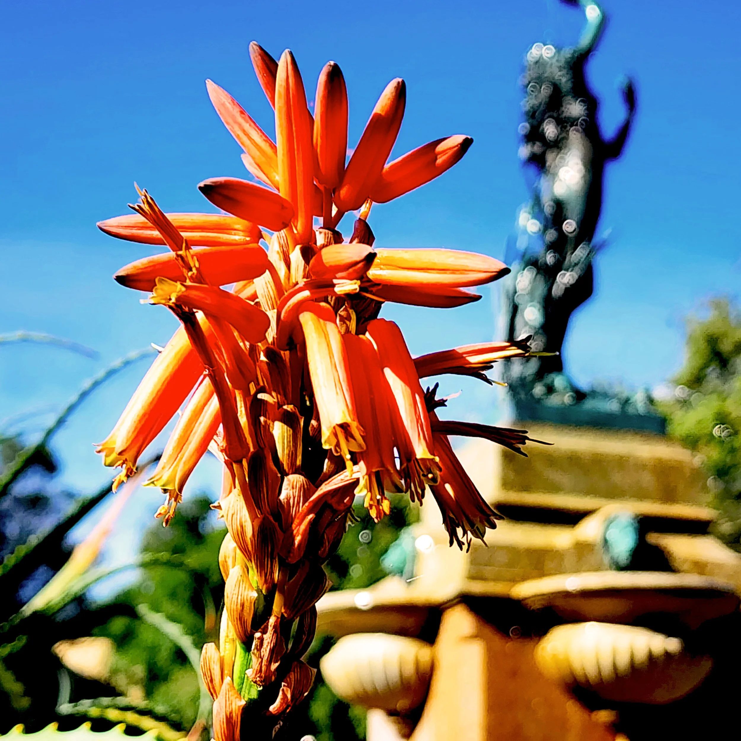 Floral16.jpg