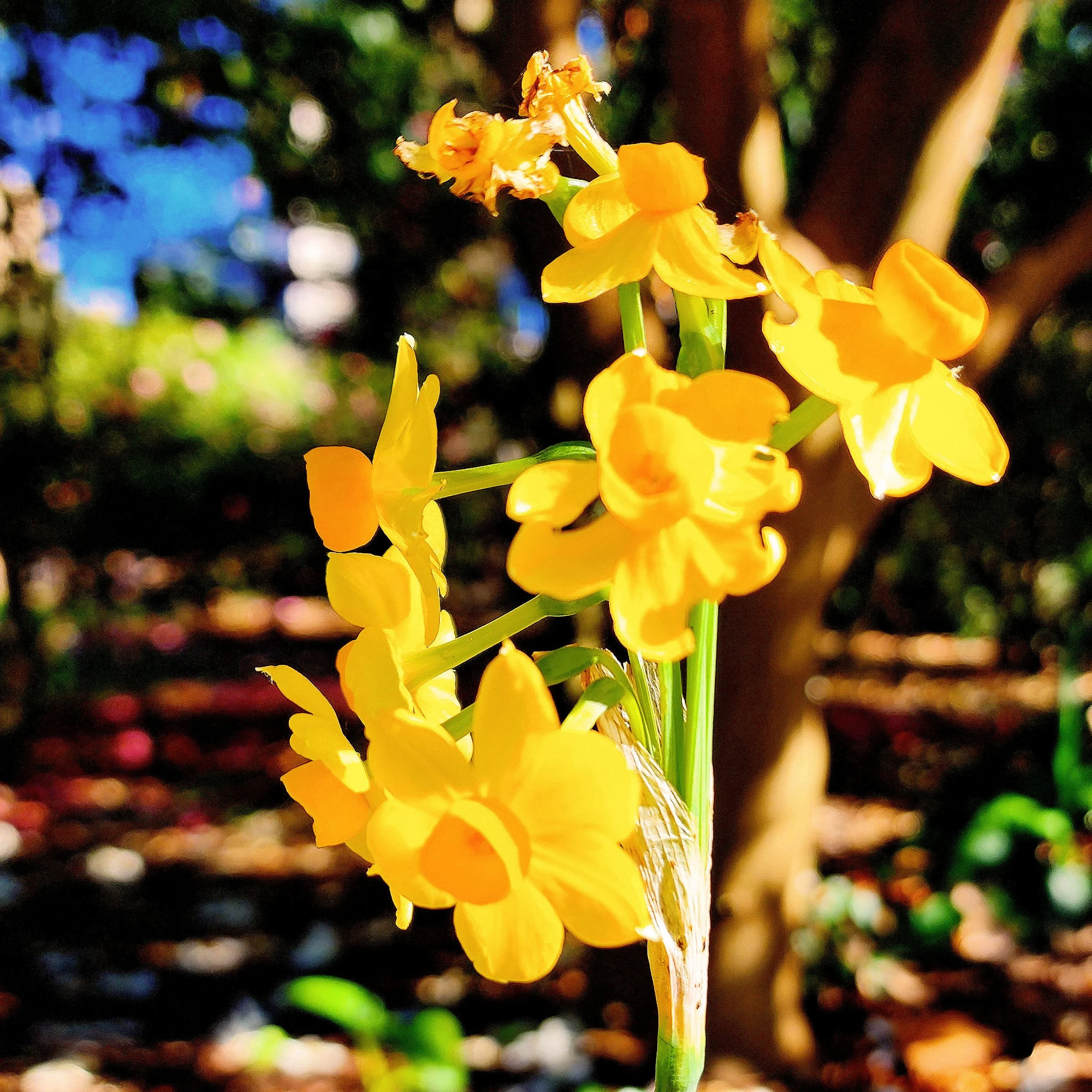 Floral15.jpg