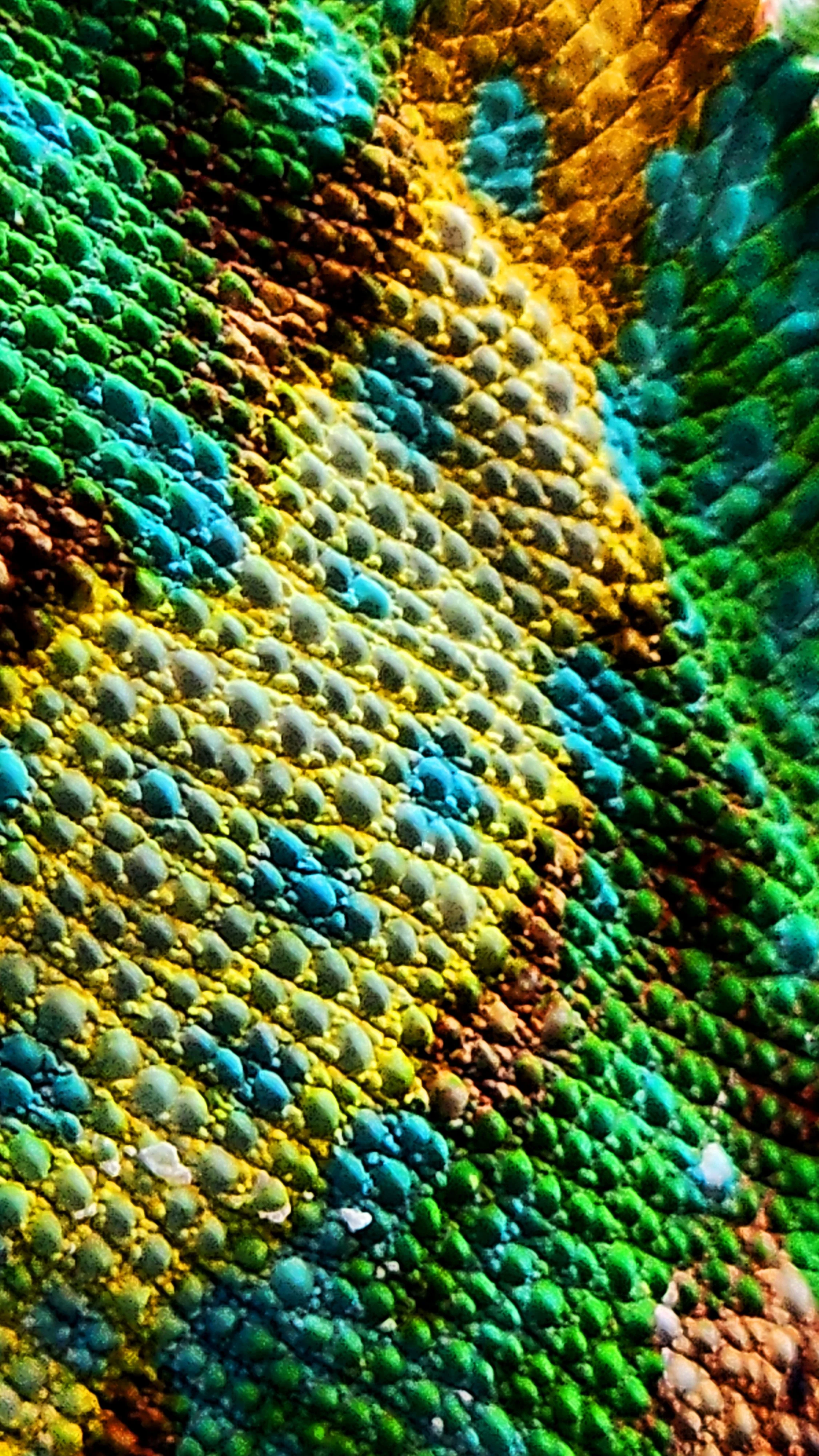 20260628_122316.jpg