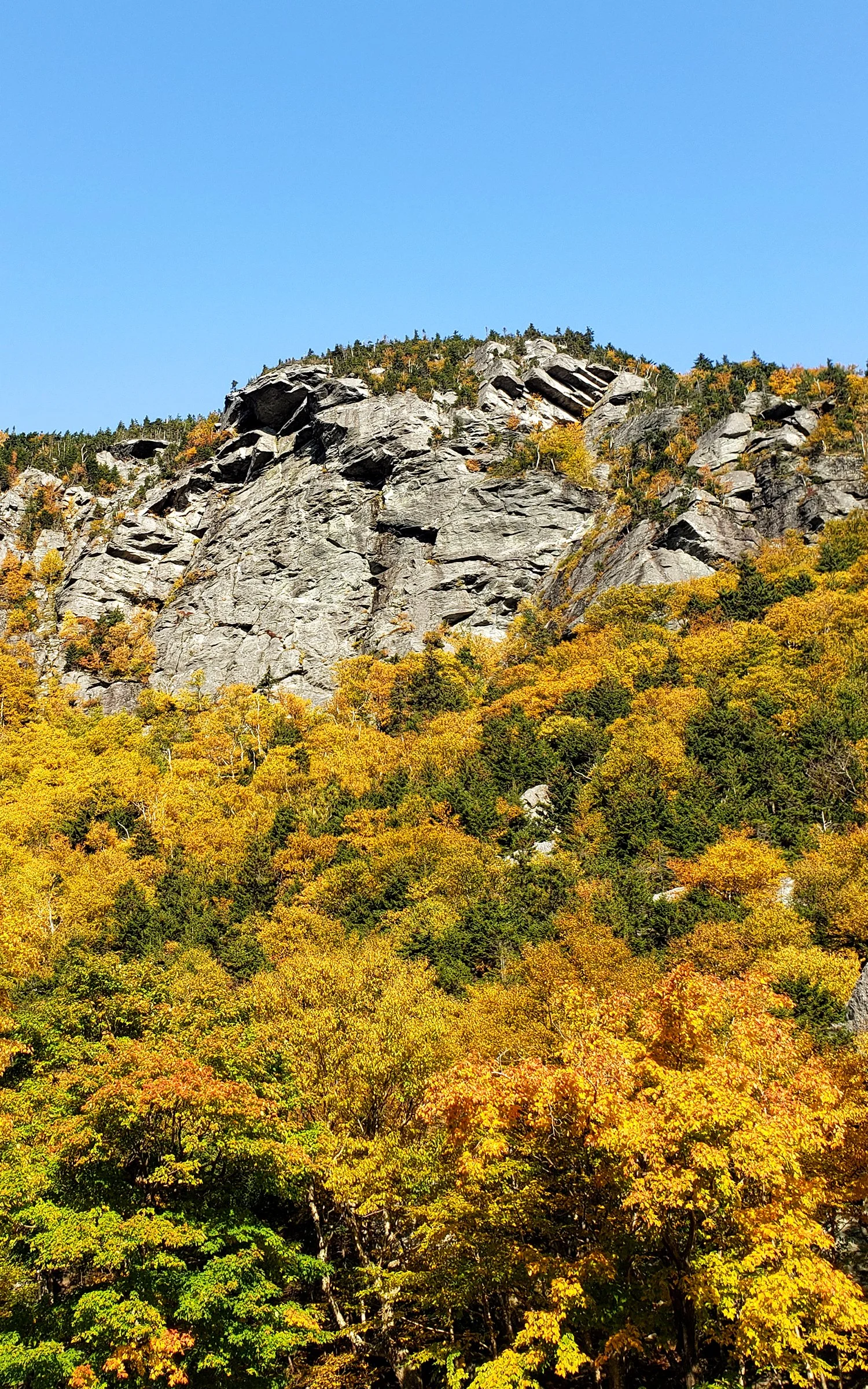 20200926_093000.jpg