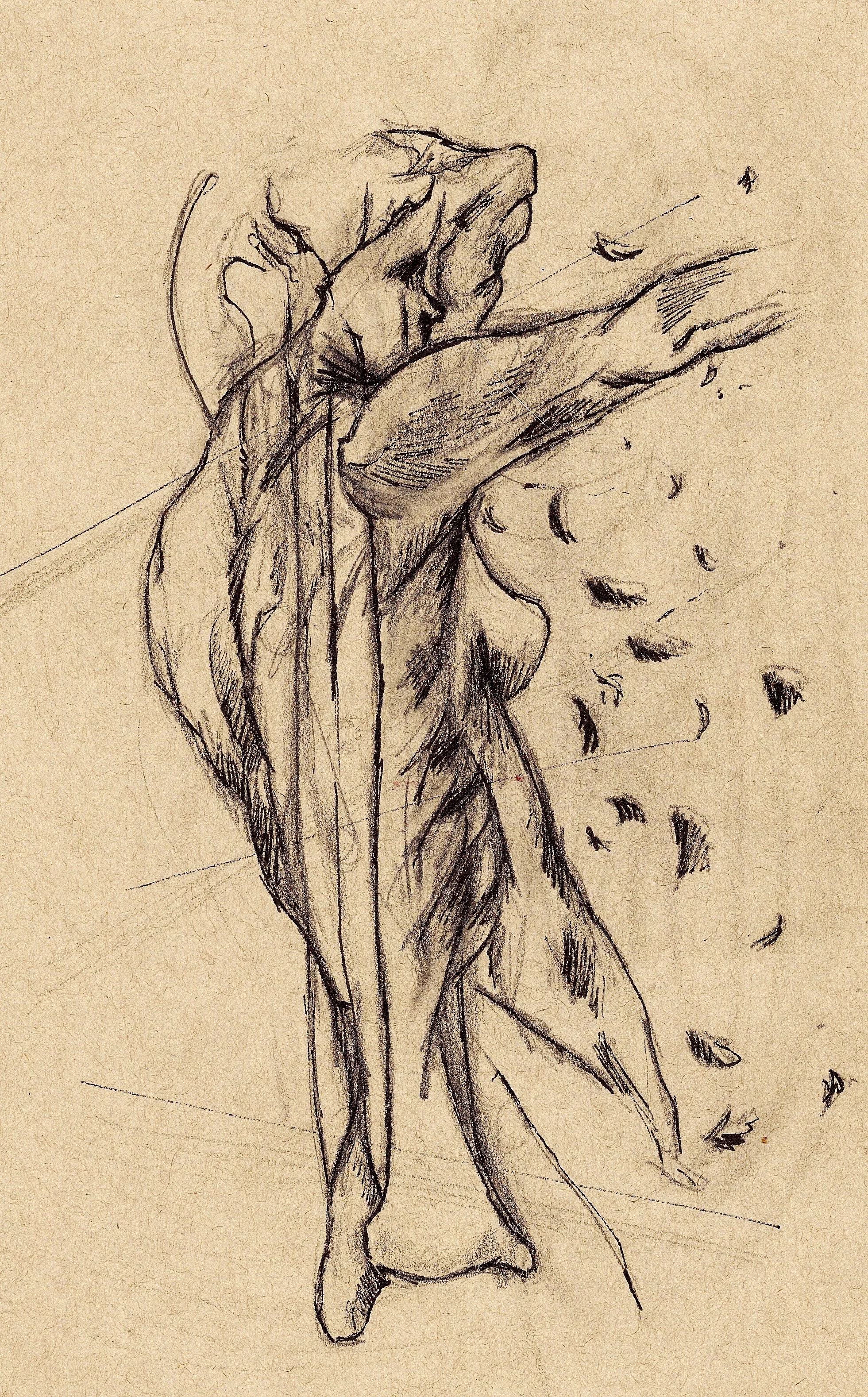 Propaganda of Form Concept.jpg