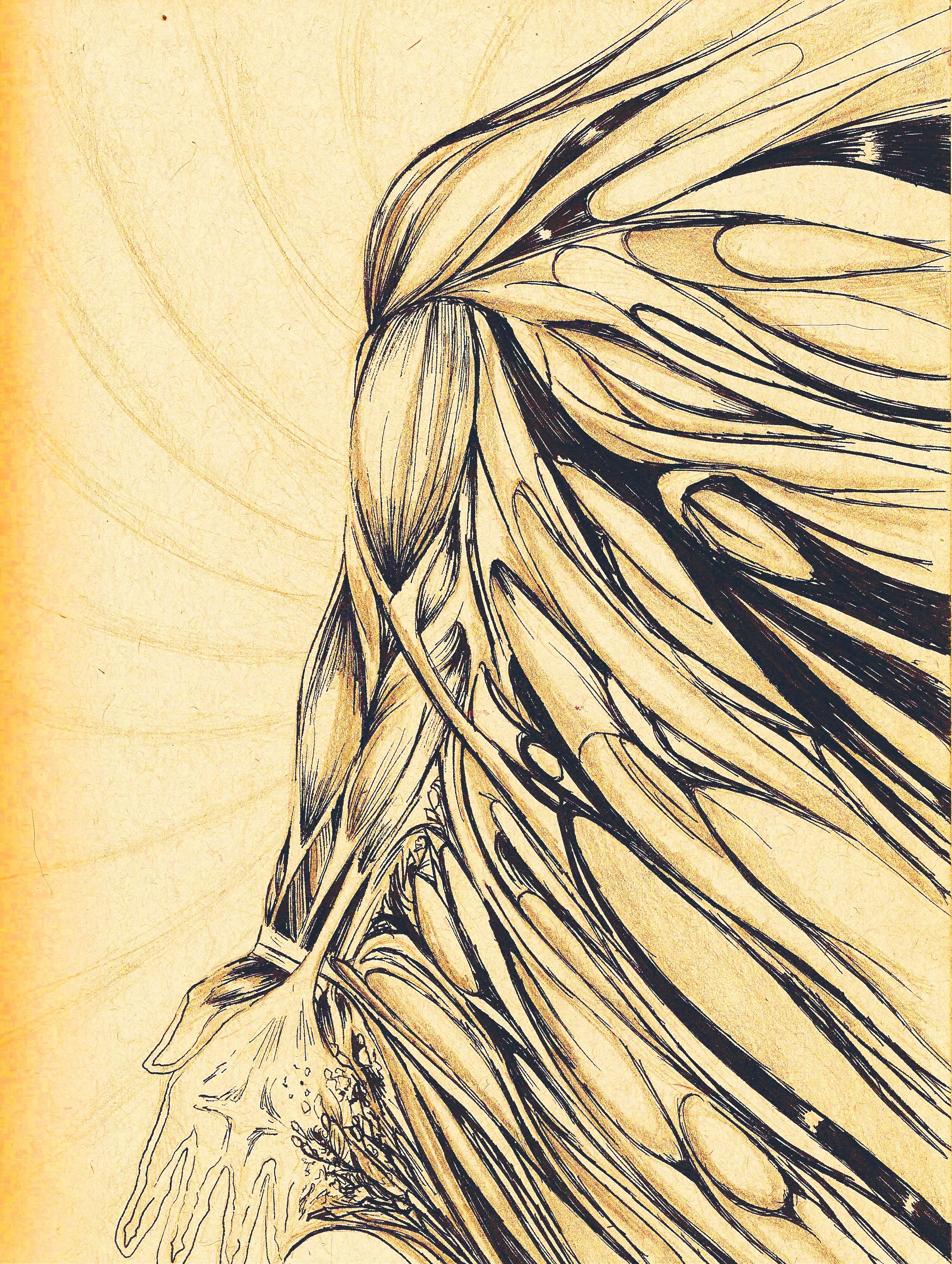 sketch book 3 alternative.jpg