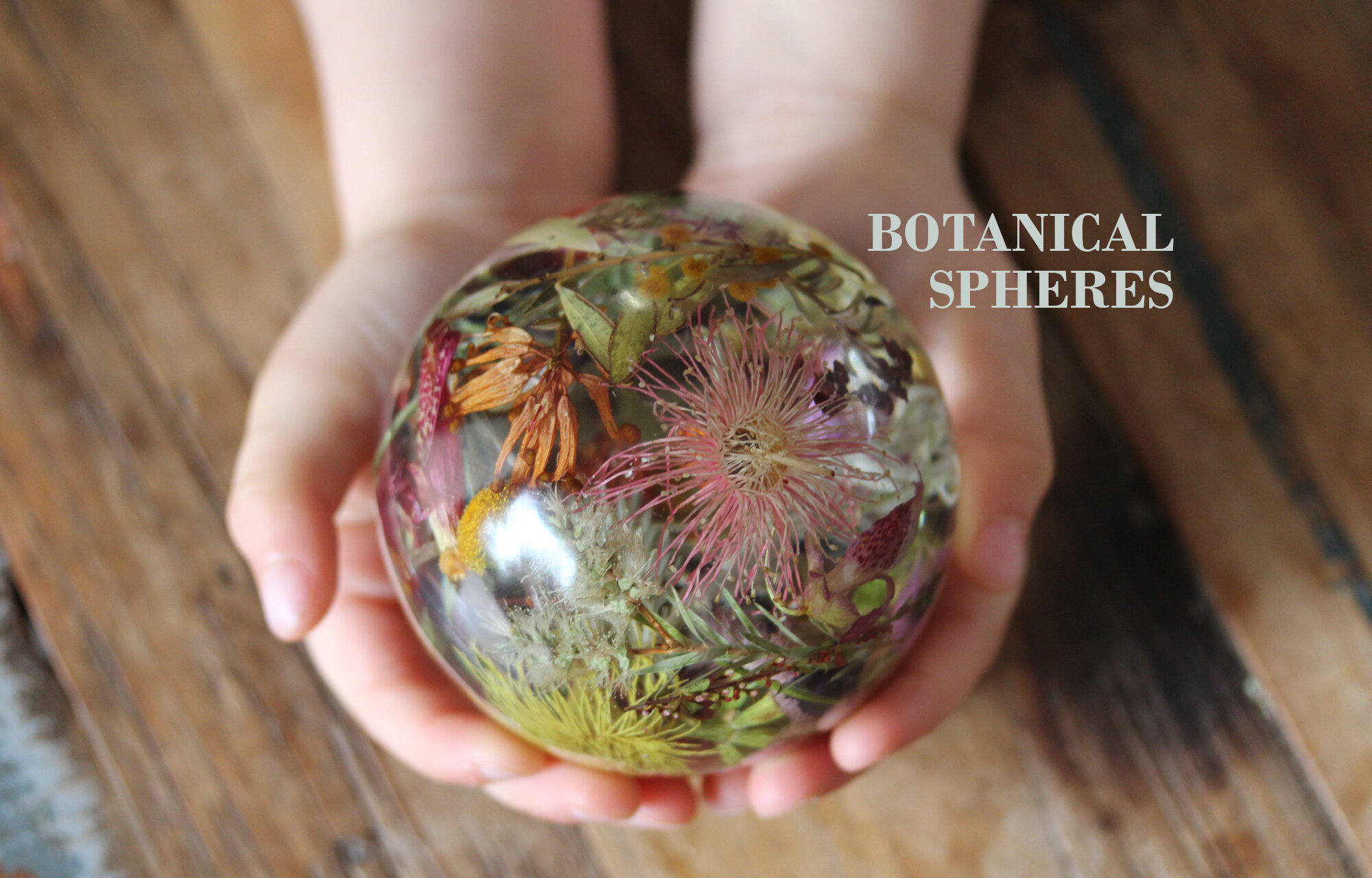 Botanical-Spheres_ellie.jpg