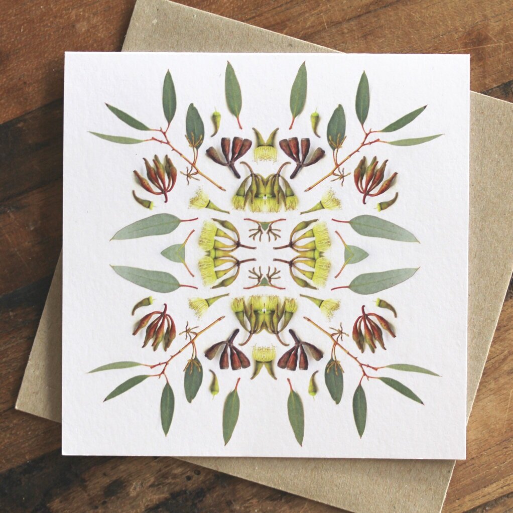Square Art Card : Eucalyptus pimpiniana