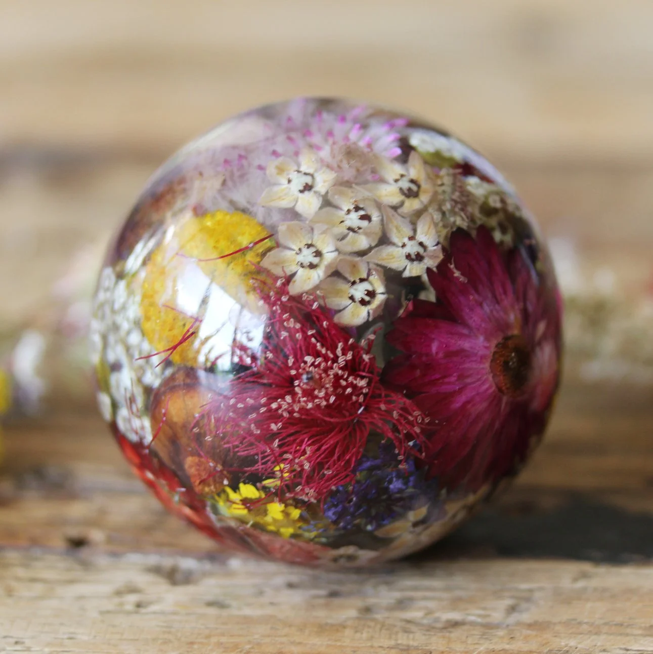 IMG_7838.JPG