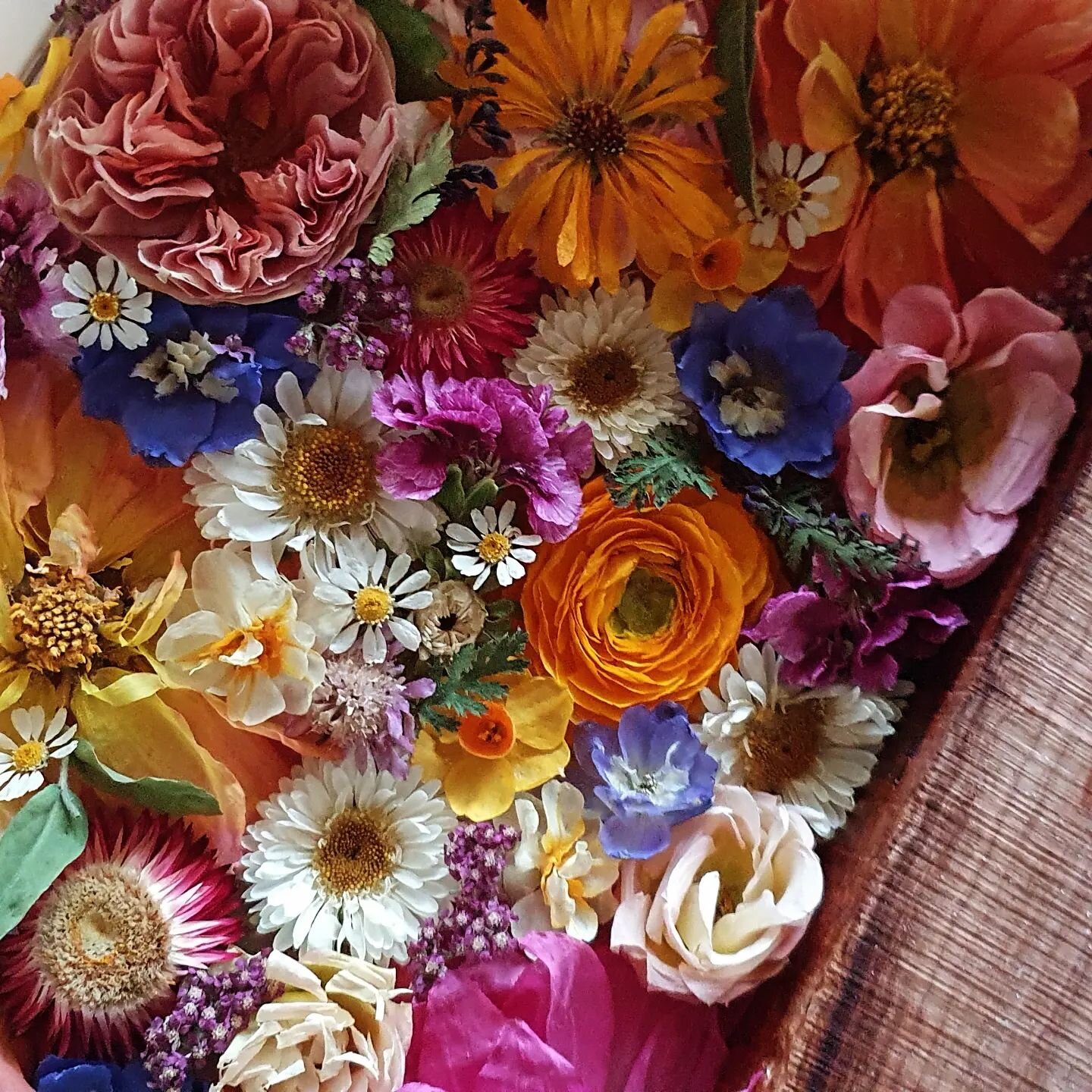 colour me happy 😍😍
.
.
.
.
#springflorals #springbride #keepsakes #sayitwithflowers #melbournebride #memories 
#resinart #resinartist #southaustralia #preservedbouquet #preservation #colourpop #colours