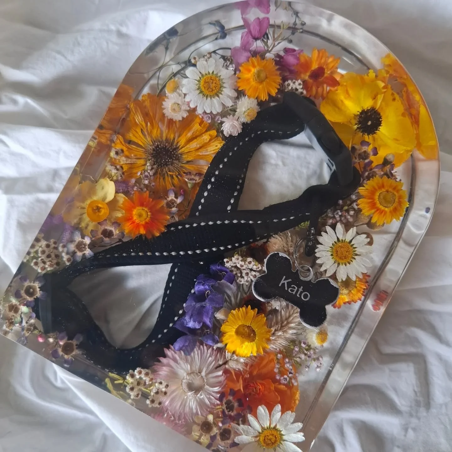 One for a best friend.
#petmemorial #memories #familymember