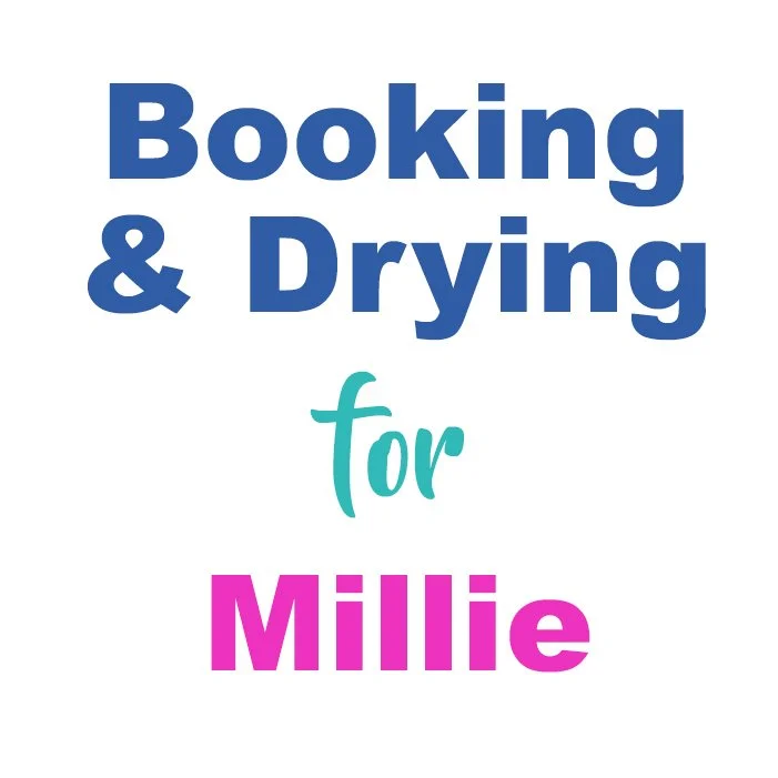 October Booking and Drying for Millie
