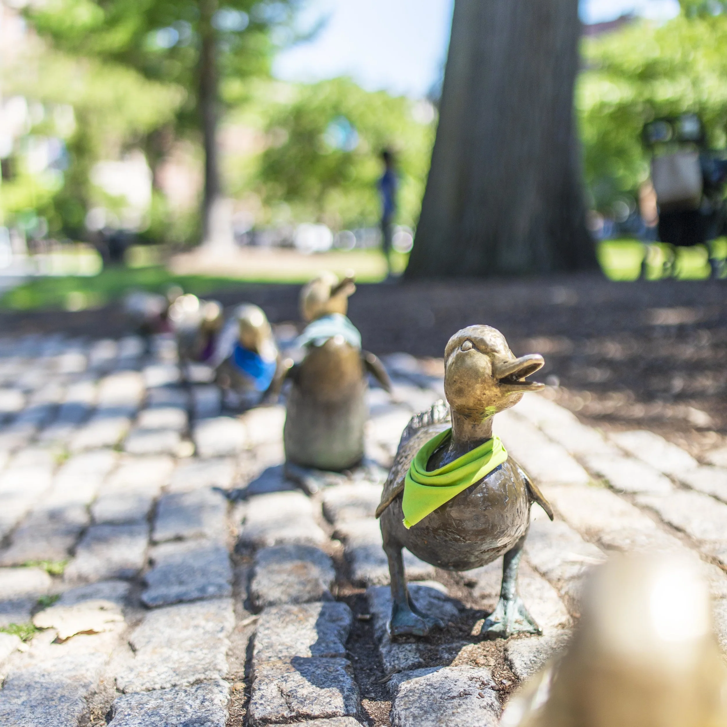 Duckling.jpg