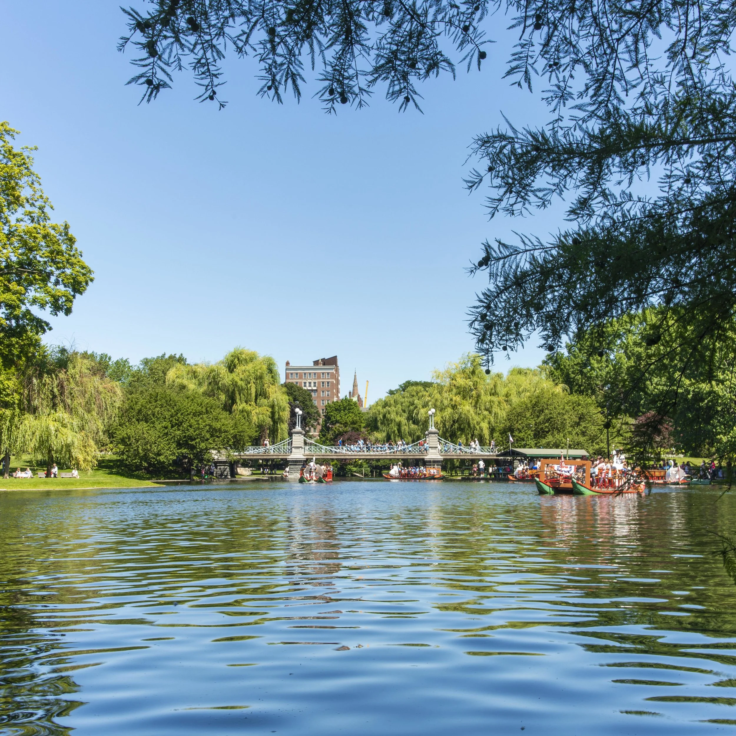 Public Garden 2.jpg