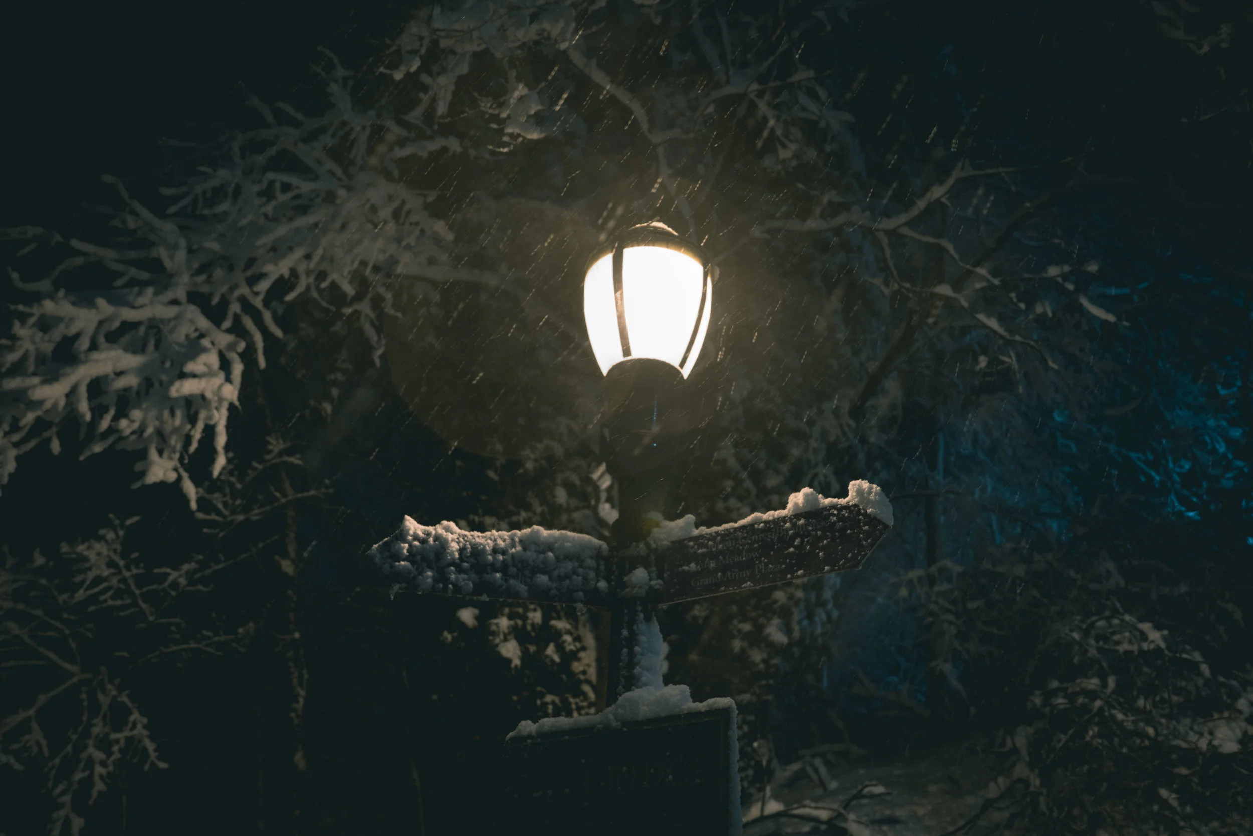 prospect park snowy lamp post night photograph by robert ravenscroft nyc and austin photographer