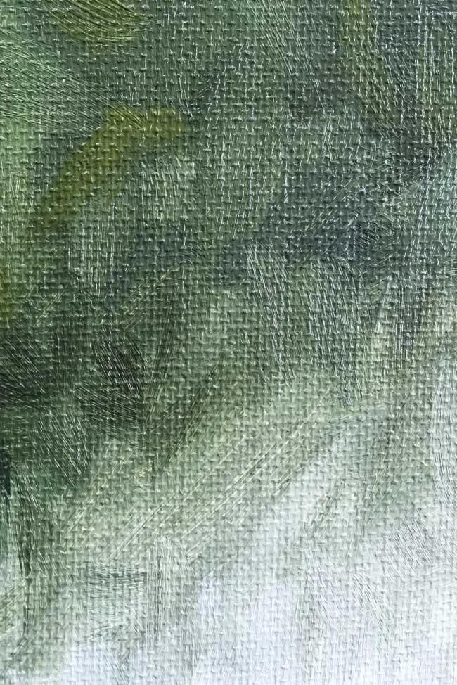 Out-of-the-woods-detail-1.jpg