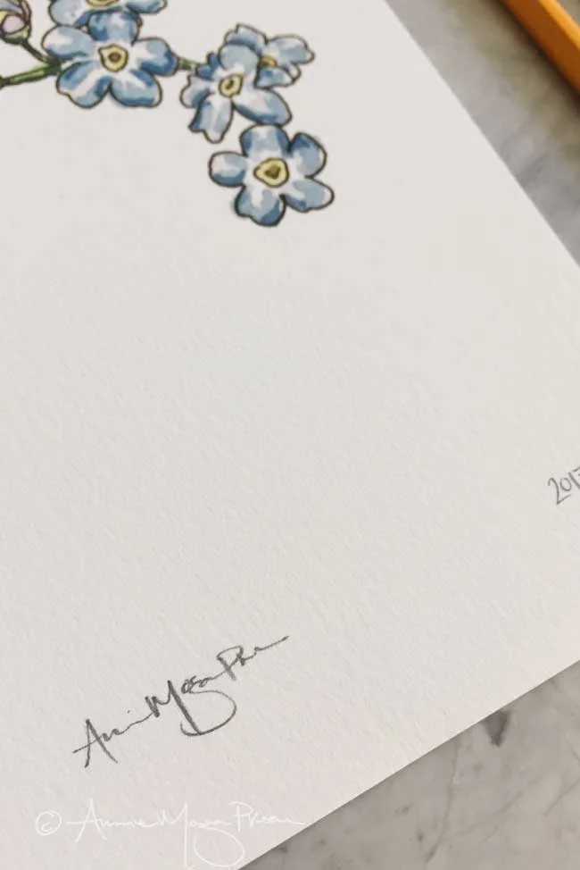 forget-me-not-detail.jpg
