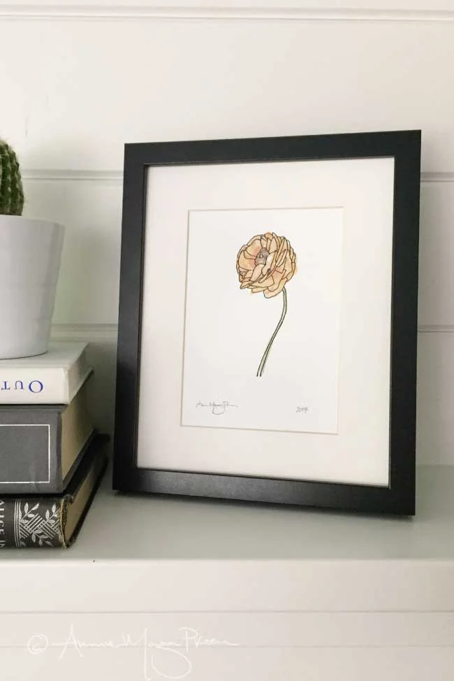 ranunculus-framed.jpg