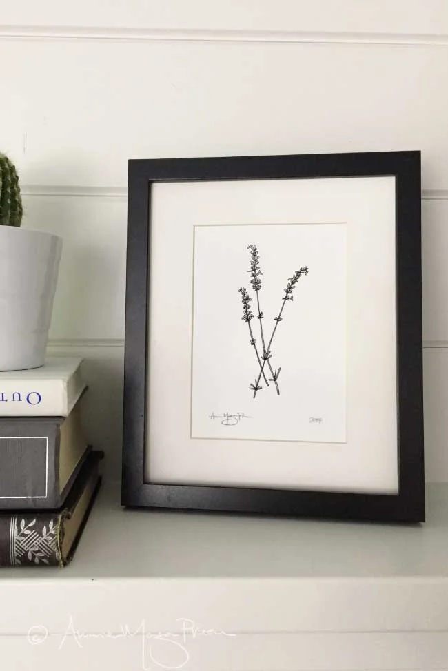 lavender-framed.jpg
