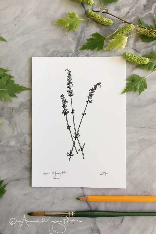 lavender-print.jpg