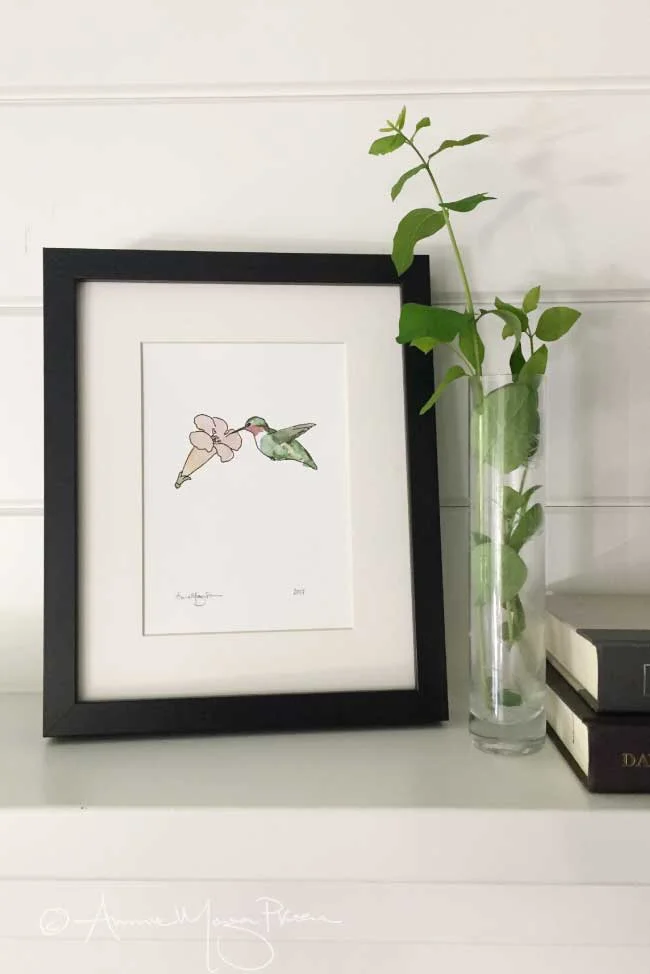 hummingbird-framed.jpg