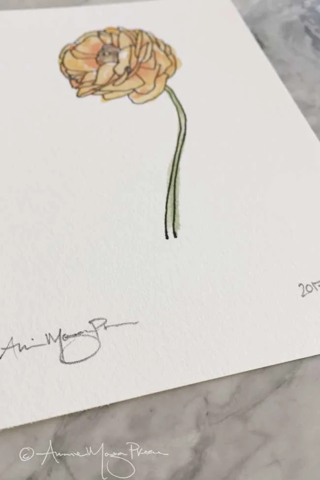 ranunculus-detail.jpg