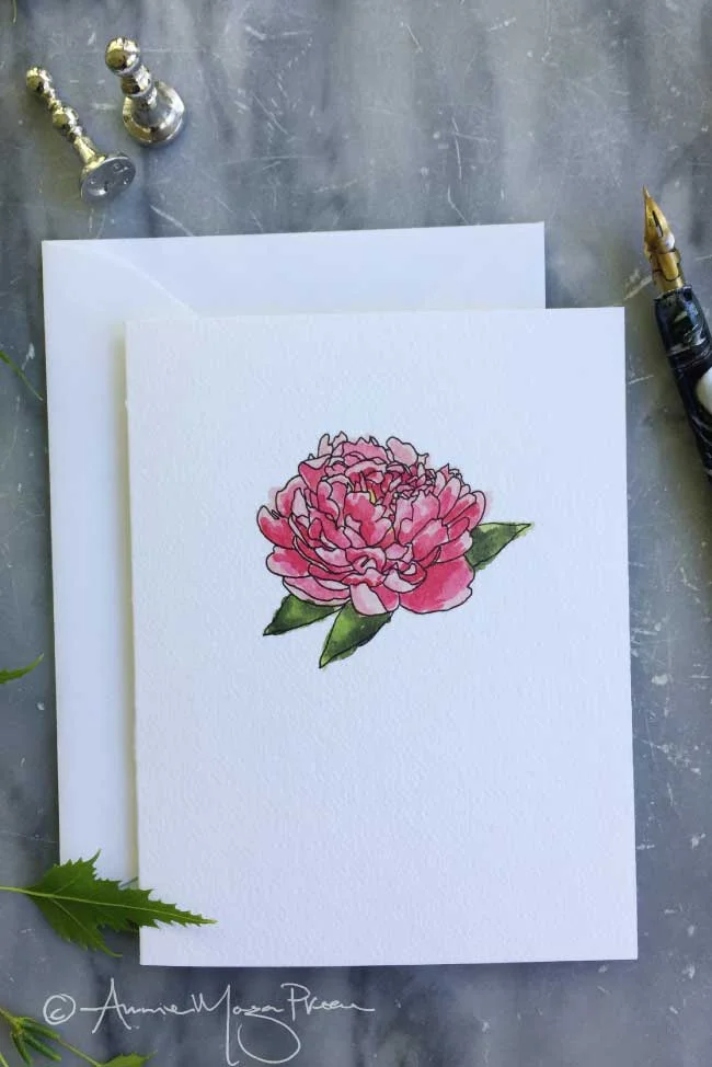 peony-single.jpg
