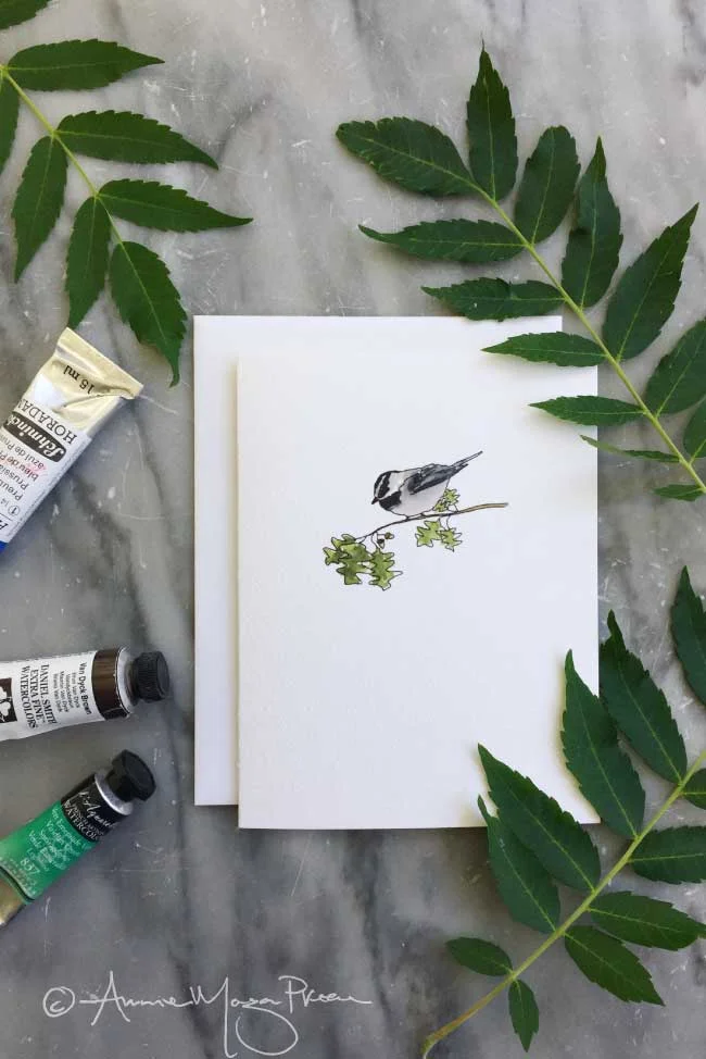 chickadee-single.jpg