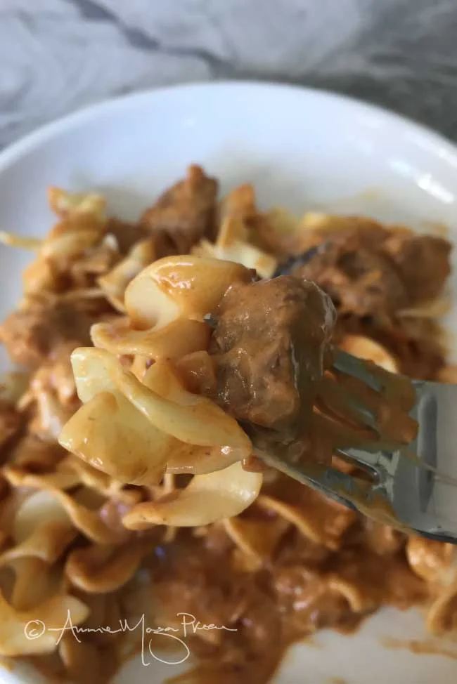 stroganoff-for-dinner.jpg