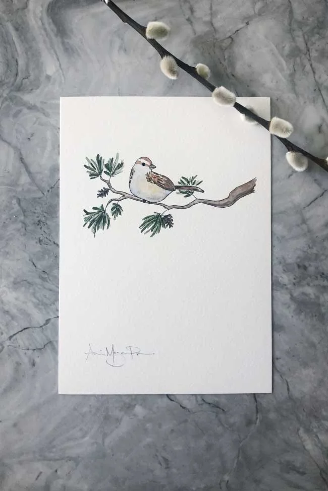 fiona-sparrow.jpg