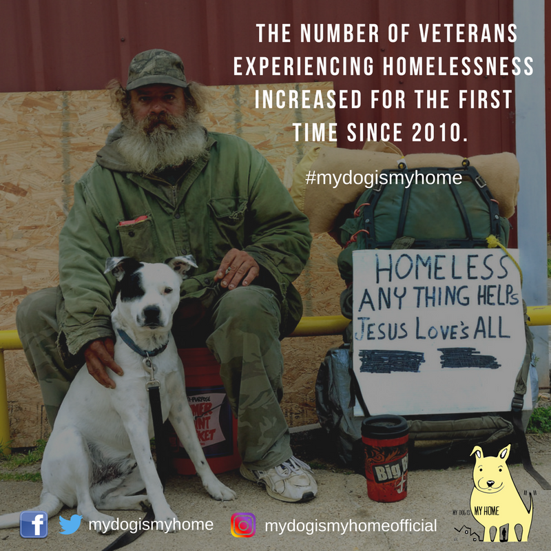 The number of veterans experiencing homelessness increased for the first time since 2010. (2).png