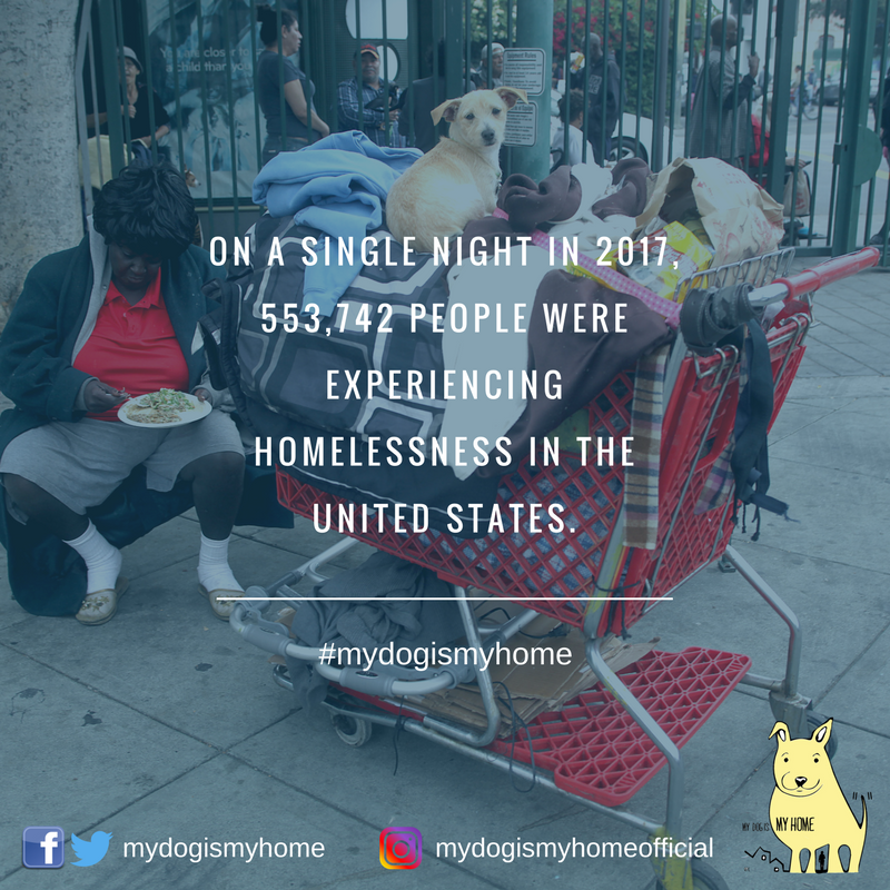 On a single night in 2017, 553,742 people wereexperiencing homelessness in the United States. (2).png