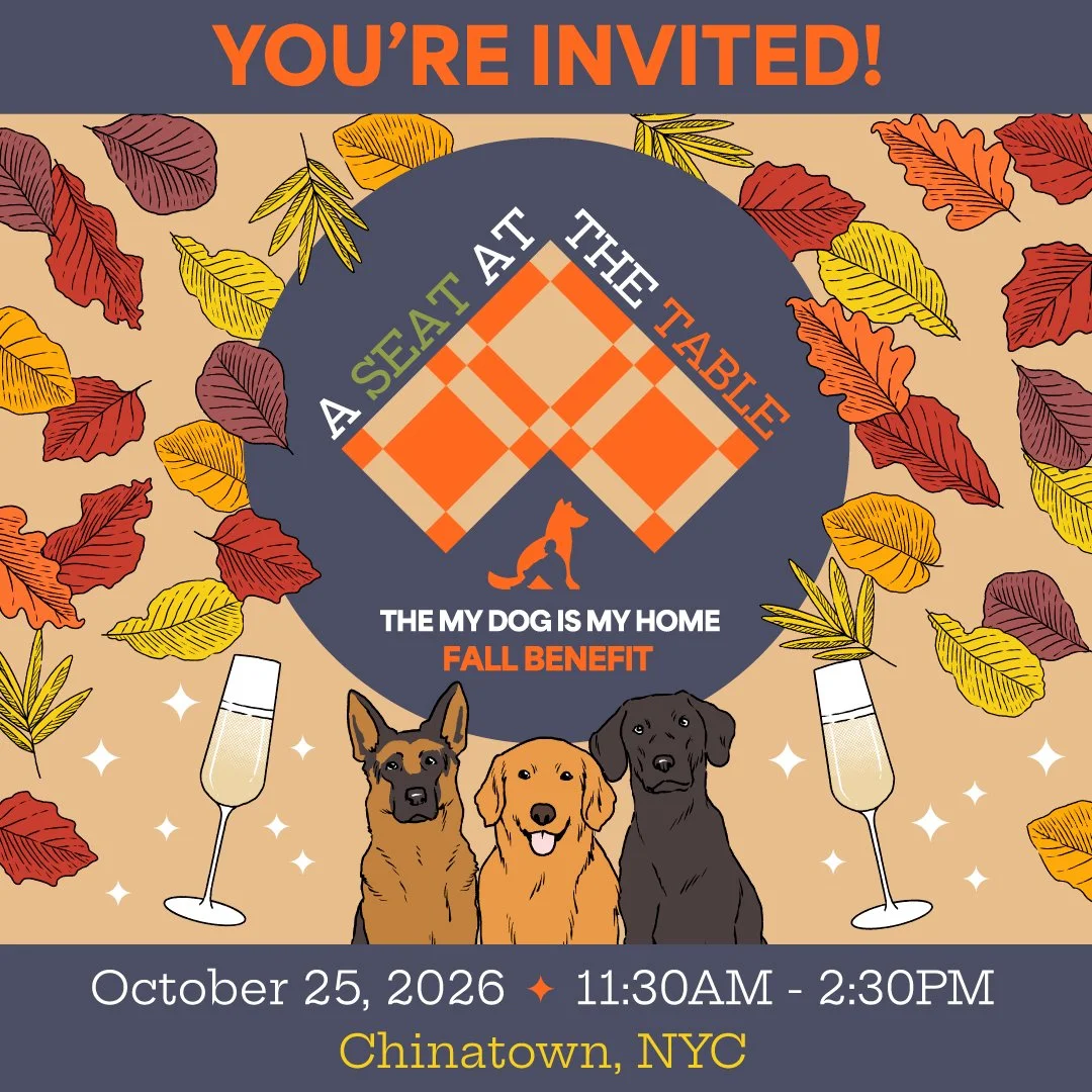 A Seat at the Table: The My Dog Is My Home Fall Benefit