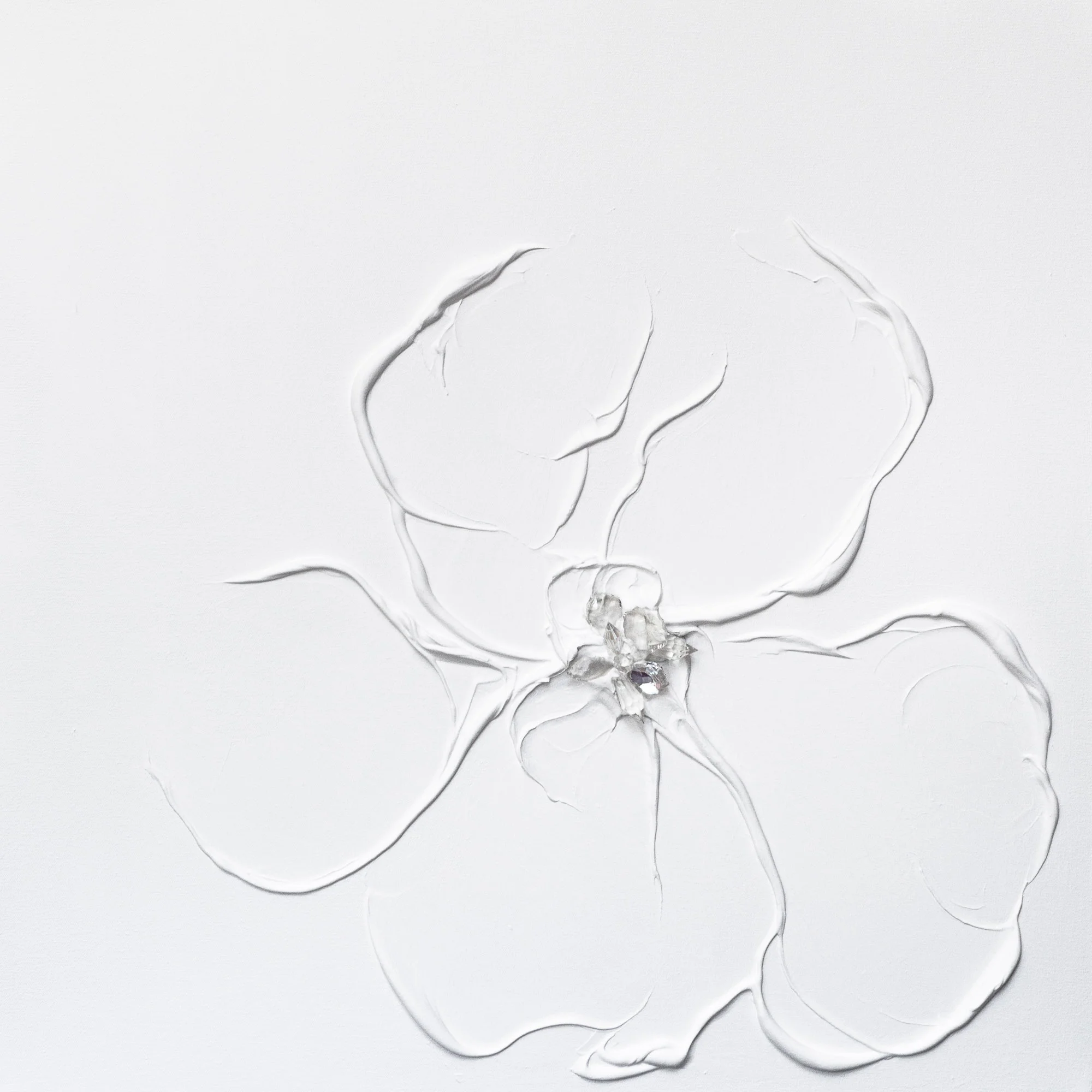   Canvas / Crystal 76cm x 76cm in Perspex Box  