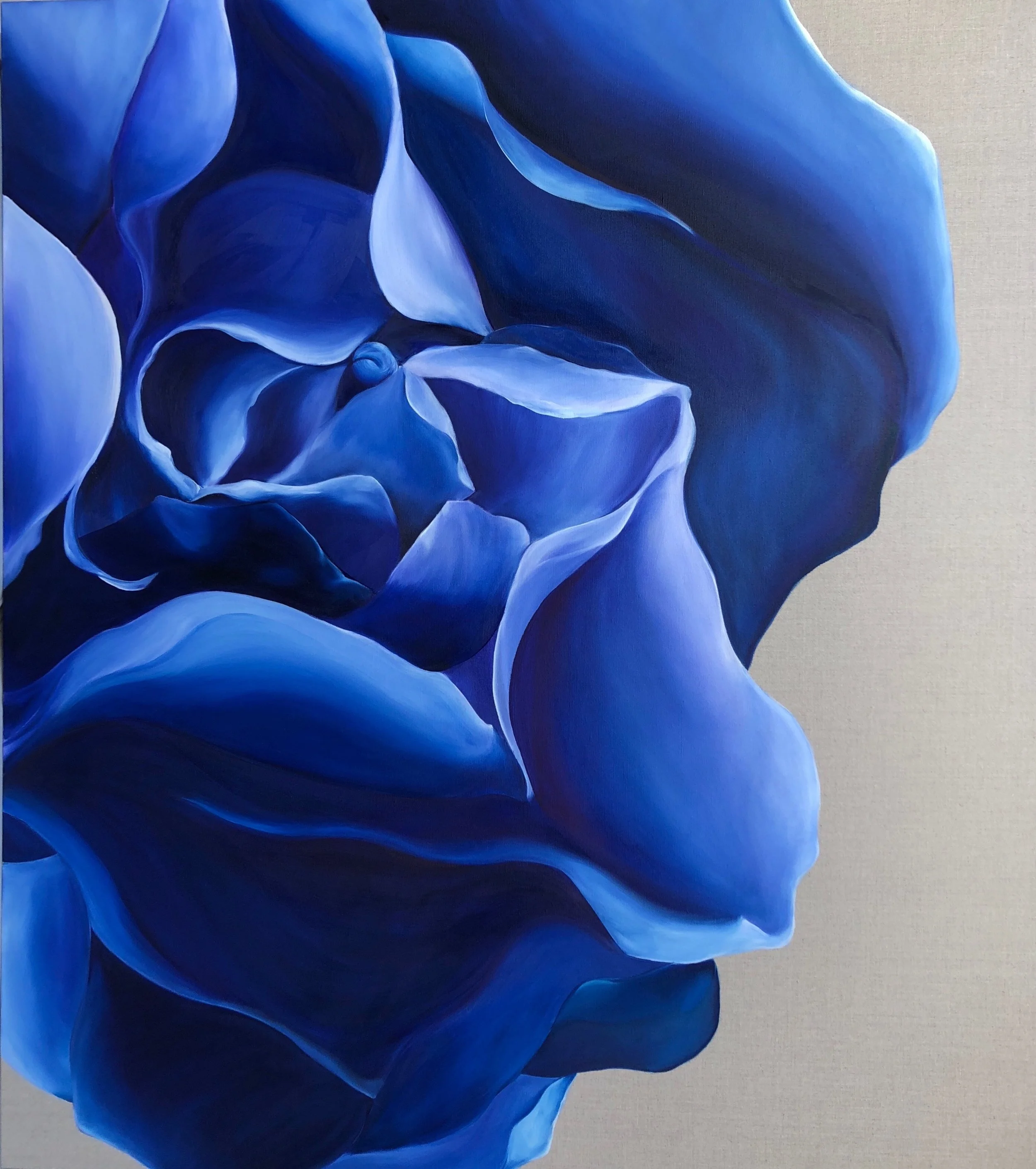   Blue Rose  |  Canvas, 122cm x 138cm  