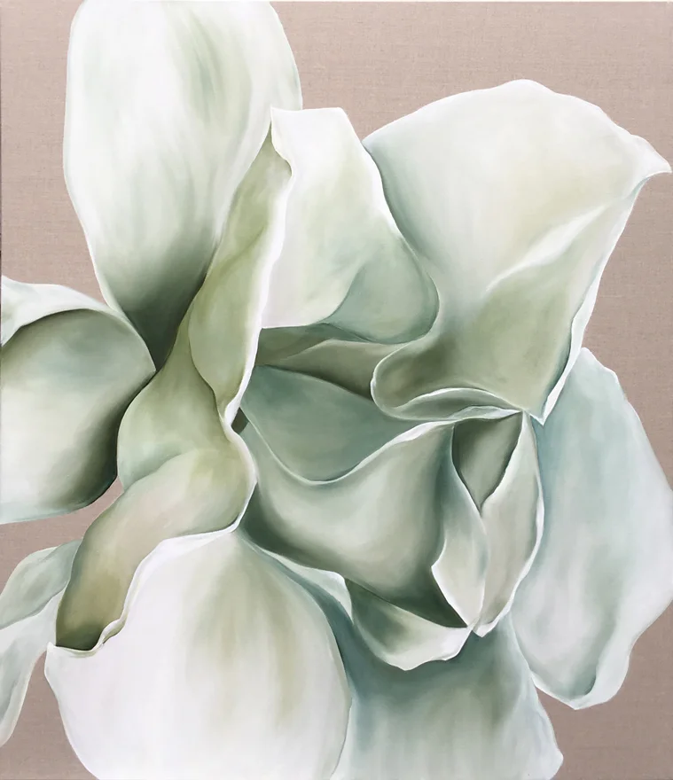   White Magnolia  |  Canvas, 122cm x 112cm  