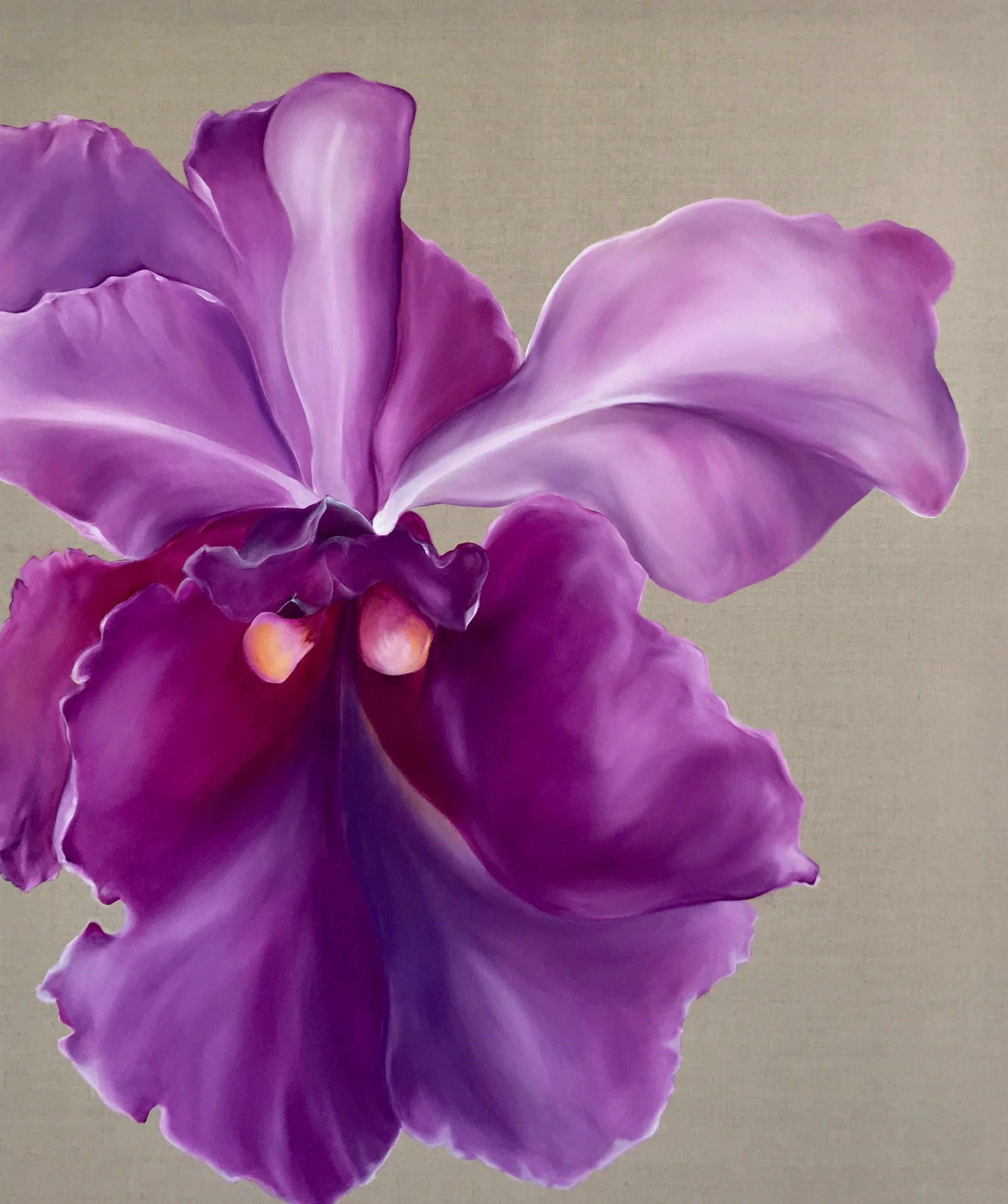   Orchid  |  Canvas, 122cm x 112cm  